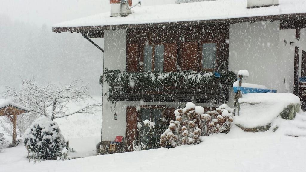 Chalet Monica Molina di Ledro Eksteriør billede